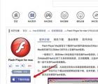 介紹Mac系統(tǒng)Flash無(wú)法安裝怎么辦
