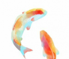 ps鋼筆工具怎么用：ps彎度鋼筆的使用方法