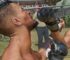 玩家強烈反對后EA移除了UFC4游戲內(nèi)廣告
