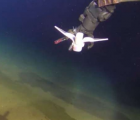 軟機(jī)器人在馬里亞納海溝游泳