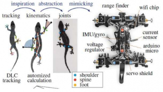 Roboreptile像真正的蜥蜴一樣爬
