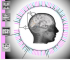 科學(xué)家?guī)缀跻愿兄俣冉獯a大腦信號
