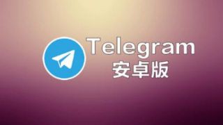 安卓版Telegram現(xiàn)在允許自定義主題