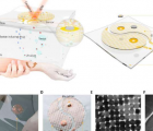 用于生物界面上通用分子指紋檢測的可穿戴等離子體超表面?zhèn)鞲衅?/>
                                    </a>
                                                </div>
                                    <div   id=
