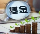 Mirova的土地退化中和基金超過(guò)2億美元的最終收盤承諾
