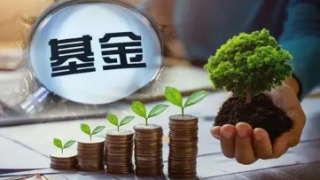 Mirova的土地退化中和基金超過2億美元的最終收盤承諾