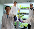研究人員設(shè)計(jì)了一種通過(guò)電信號(hào)與植物交流的方法
