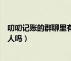 叨叨記賬的群聊里有有人是真人嗎（叨叨記賬聊天對面是真人嗎）