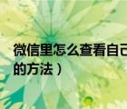 微信里怎么查看自己的年度賬單（微信查看自己的年度賬單的方法）