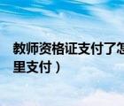 教師資格證支付了怎么顯示待支付（教師資格證待支付在哪里支付）