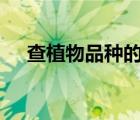 查植物品種的app（查植物品種的app）