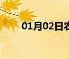 01月02日農(nóng)安24小時(shí)天氣實(shí)時(shí)預(yù)報(bào)