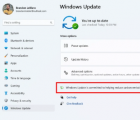 3月4日向Insiders發(fā)布Windows11Build22567更新