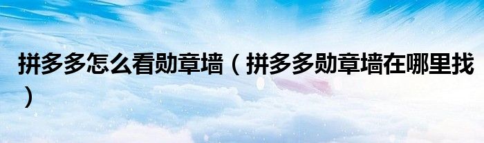 拼多多怎么看勛章墻（拼多多勛章墻在哪里找）