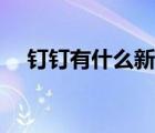 釘釘有什么新功能嗎（釘釘有什么功能）