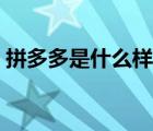 拼多多是什么樣的模式（拼多多是什么模式）