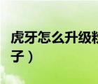 虎牙怎么升級粉絲牌子（虎牙怎么升級粉絲牌子）