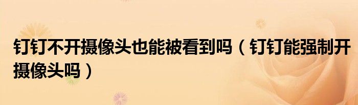 釘釘不開攝像頭也能被看到嗎（釘釘能強制開攝像頭嗎）