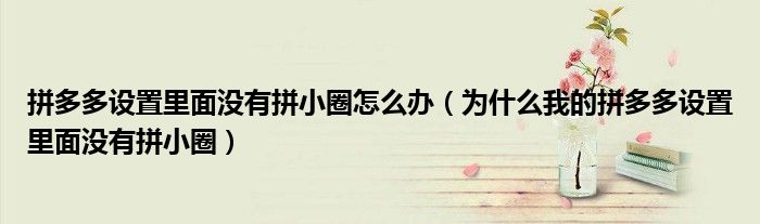 拼多多設(shè)置里面沒有拼小圈怎么辦（為什么我的拼多多設(shè)置里面沒有拼小圈）