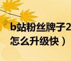 b站粉絲牌子21級后怎么升級（b站粉絲牌子怎么升級快）