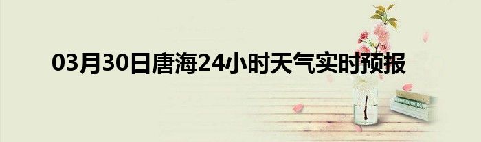 03月30日唐海24小時天氣實時預報