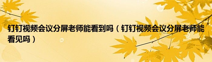 釘釘視頻會議分屏老師能看到嗎（釘釘視頻會議分屏老師能看見嗎）