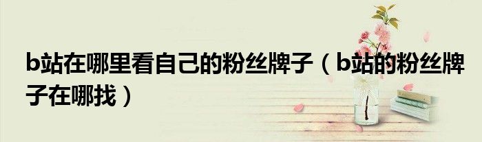b站在哪里看自己的粉絲牌子（b站的粉絲牌子在哪找）