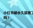 小紅書被永久禁言了還能恢復(fù)嗎（小紅書被禁言了還能恢復(fù)嗎）