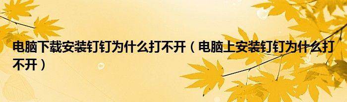 電腦下載安裝釘釘為什么打不開（電腦上安裝釘釘為什么打不開）