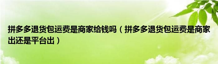拼多多退貨包運(yùn)費(fèi)是商家給錢嗎（拼多多退貨包運(yùn)費(fèi)是商家出還是平臺(tái)出）