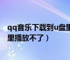 qq音樂下載到u盤里怎么播放不了（qq音樂怎么下載到u盤里播放不了）
