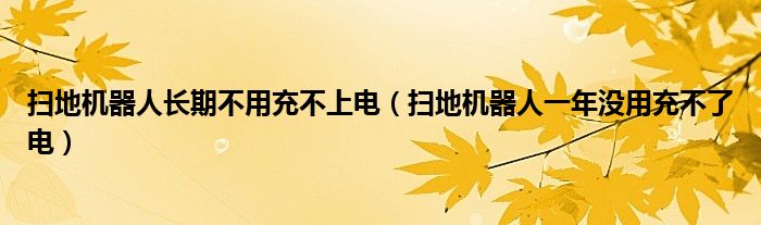 掃地機(jī)器人長期不用充不上電（掃地機(jī)器人一年沒用充不了電）