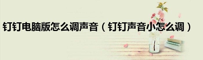 釘釘電腦版怎么調(diào)聲音（釘釘聲音小怎么調(diào)）