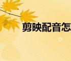 剪映配音怎么弄（剪映可以配音嗎）