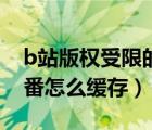 b站版權(quán)受限的動(dòng)漫怎么緩存（b站版權(quán)受限番怎么緩存）
