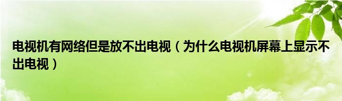 電視機(jī)有網(wǎng)絡(luò)但是放不出電視（為什么電視機(jī)屏幕上顯示不出電視）
