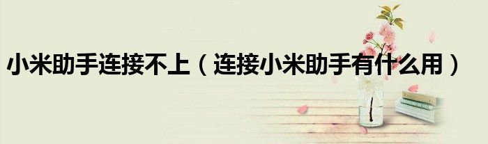 小米助手連接不上（連接小米助手有什么用）