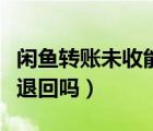 閑魚(yú)轉(zhuǎn)賬未收能退回嗎（閑魚(yú)轉(zhuǎn)賬對(duì)方不收會(huì)退回嗎）