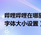 嗶哩嗶哩在哪里設(shè)置字體大小（嗶哩嗶哩系統(tǒng)字體大小設(shè)置）