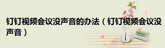 釘釘視頻會(huì)議沒聲音的辦法（釘釘視頻會(huì)議沒聲音）
