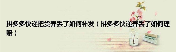 拼多多快遞把貨弄丟了如何補發(fā)（拼多多快遞弄丟了如何理賠）