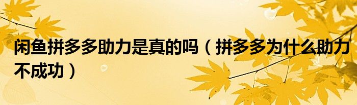 閑魚拼多多助力是真的嗎（拼多多為什么助力不成功）