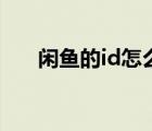 閑魚的id怎么改（閑魚id在哪里查看）