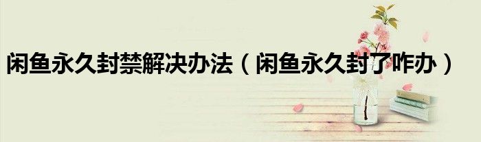 閑魚永久封禁解決辦法（閑魚永久封了咋辦）