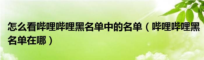 怎么看嗶哩嗶哩黑名單中的名單（嗶哩嗶哩黑名單在哪）