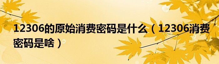 12306的原始消費(fèi)密碼是什么（12306消費(fèi)密碼是啥）