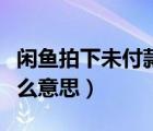 閑魚拍下未付款怎么辦（閑魚拍下未付款是什么意思）