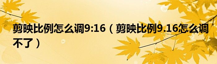 剪映比例怎么調(diào)9:16（剪映比例9.16怎么調(diào)不了）