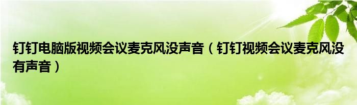 釘釘電腦版視頻會議麥克風(fēng)沒聲音（釘釘視頻會議麥克風(fēng)沒有聲音）