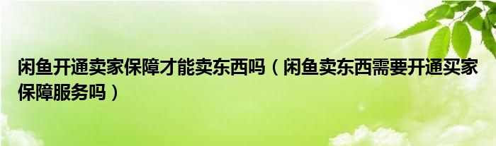 閑魚(yú)開(kāi)通賣(mài)家保障才能賣(mài)東西嗎（閑魚(yú)賣(mài)東西需要開(kāi)通買(mǎi)家保障服務(wù)嗎）
